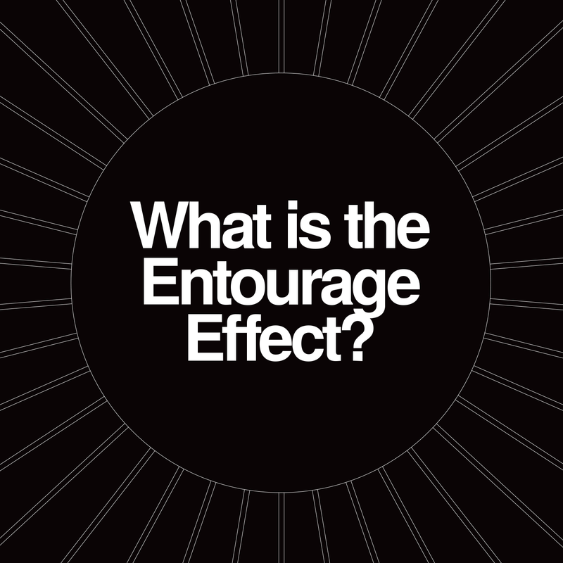 What is the entourage effect?