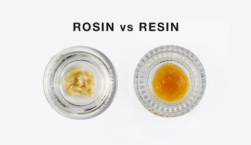 Rosin vs Resin: Full Comparison Guide